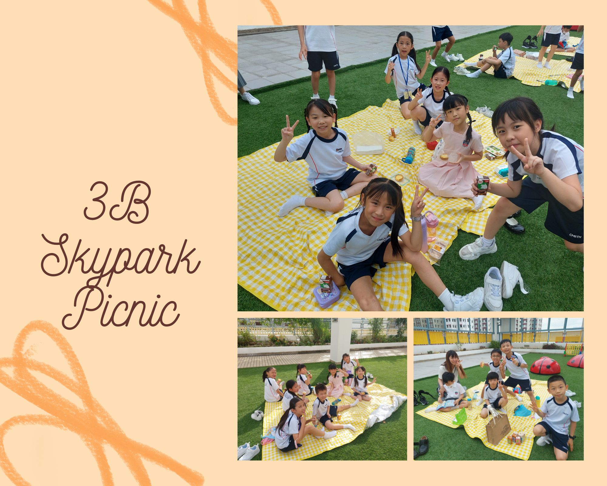 3B Skypark Picnic